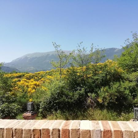 Luci Sui Monti Bed & Breakfast Sarnano Bagian luar foto