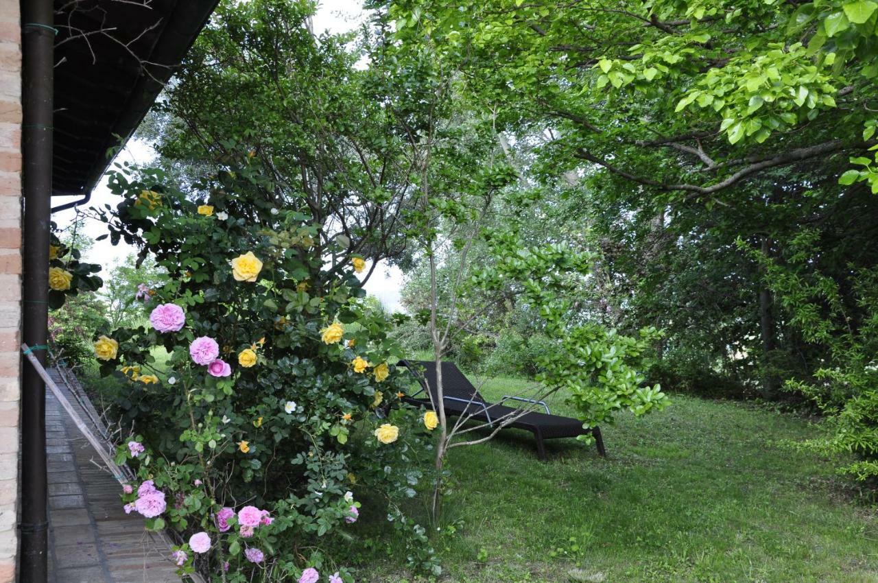 Luci Sui Monti Bed & Breakfast Sarnano Bagian luar foto