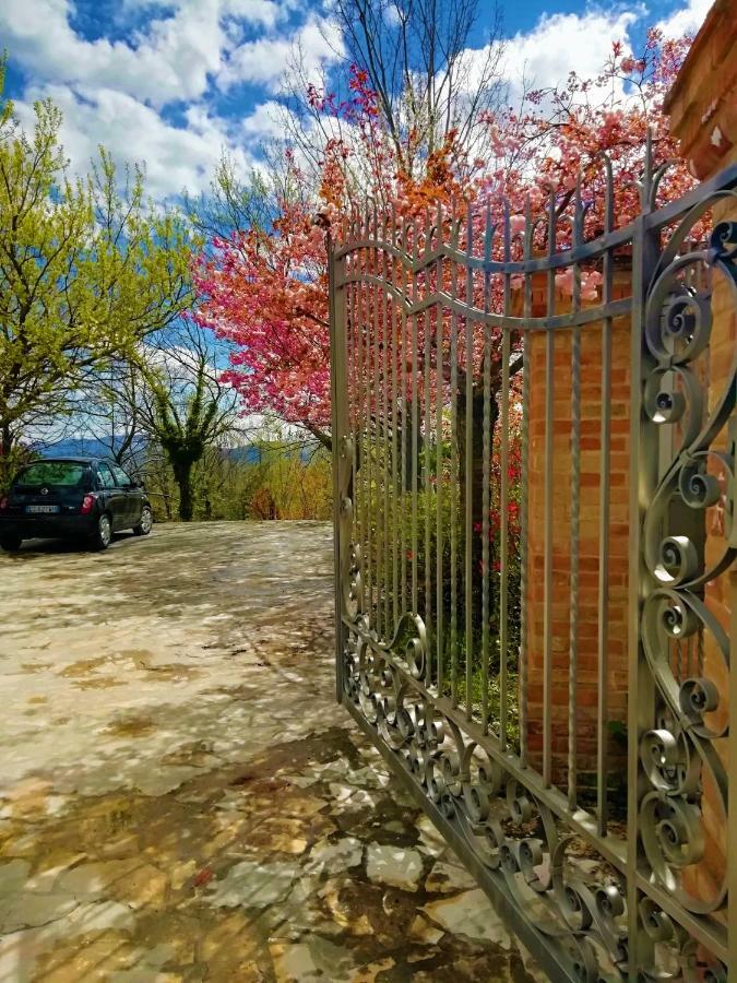 Luci Sui Monti Bed & Breakfast Sarnano Bagian luar foto